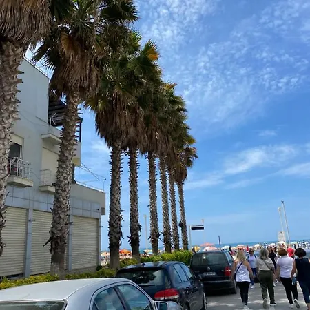 Shahollari دراس